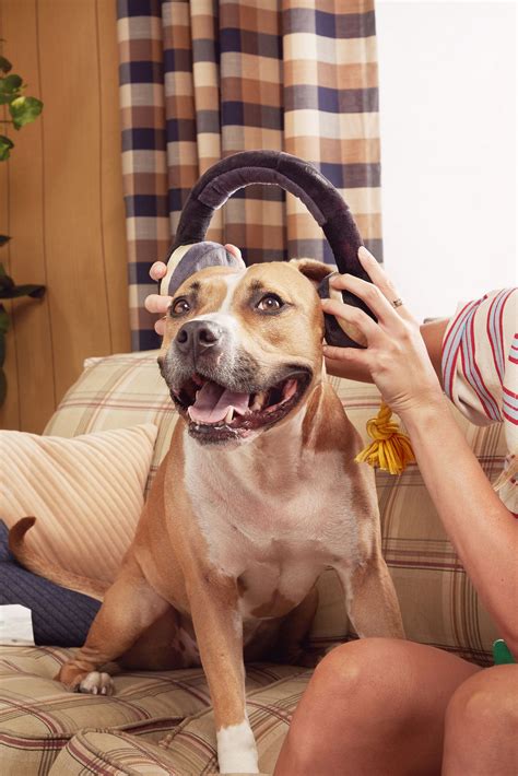 Bark Stuffed Plush Tug Dog Toy In The Zone Headphones