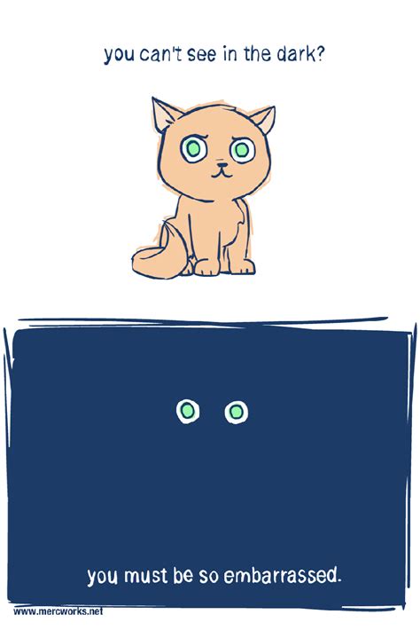 Herbal Gardening — Cat Psychology Does My Cat Have A Phobia