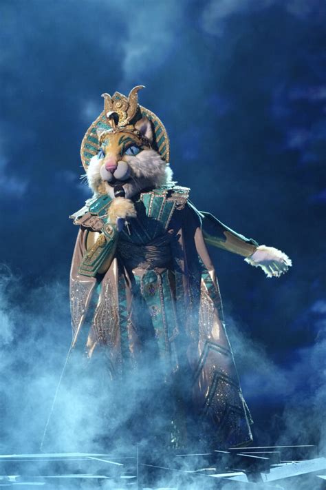 The Masked Singer Season 11 All Celebrity Reveals Guesses So Far