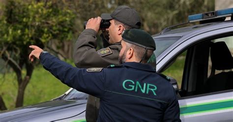 Gnr Deteta Mais De Mil Incumprimentos Na Limpeza De Terrenos Florestais