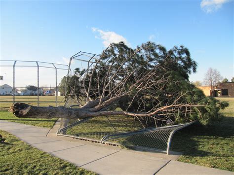 Kaysville Windstorm Damage