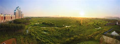 Qunli National Urban Wetland By Turenscape — Landscape Architecture