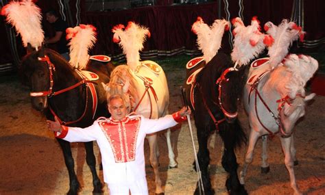 Circus Karl Althoff Köllner in Berlin Groupon