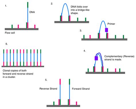 genohub blog  generation sequencing experts page