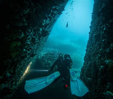 Discover Local Scuba Diving In Cape Town Dive Action