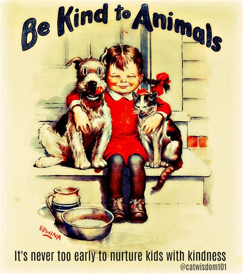9 Purrfect Kindness To Animals Quotes Illustrated Cat Wisdom 101