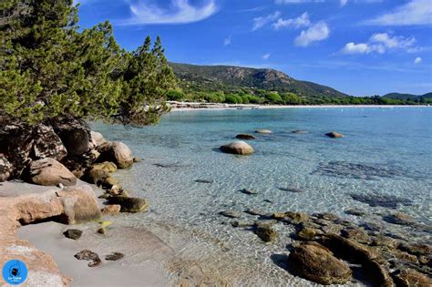 La Plage De Palombaggia En Corse Porto Vecchio