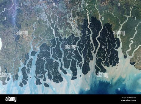 Aerial photograph taken of the Sundarbans. The Sundarbans is a vast forest in the coastal region ...