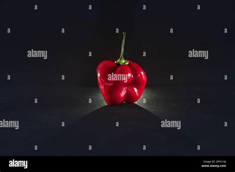 Picture Of A Habanero Chili Pepper In A Studio Shot The Habanero Is A Hot Variety Of Chili