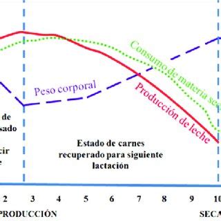 Variaci N En El Consumo De Materia Seca Producci N De Leche Y Peso