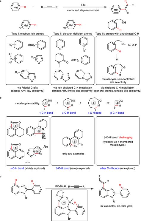 Tm Catalyzed Hydroarylation Of Alkynes With Hetero Arenes A Three