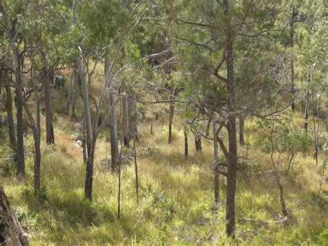 Mount Archer National Park - Rockhampton Tourist attractions | localista