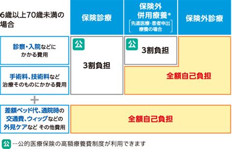 生きるためのがん保険days1 プラス：がん保険にプラスしたい保障とは？｜保険・生命保険はアフラック