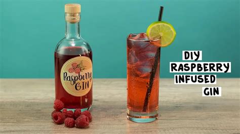 Diy Raspberry Infused Gin Cocktail Recipe