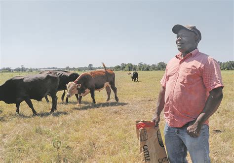 Bone Dry On The Range U S Ranchers In Trouble The Western Producer