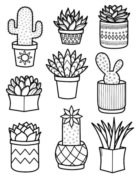 Succulent Pattern Printable Coloring Page Printable Coloring Coloring