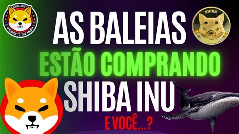 3 BILHÕES DE REAIS EM SHIBA INU YouTube