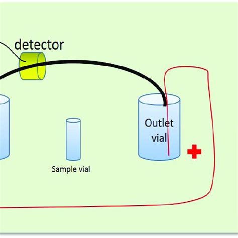 Schematic Representation Of Isoelectric Focusing Technique For Disease