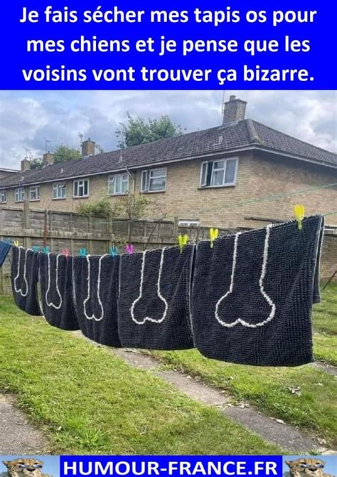 Je Fais S Cher Mes Tapis Os Pour Mes Chiens Et Je Pense Que Les