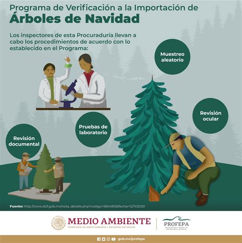 Profepa On Twitter La Profepa Mx Verifica Los Rboles De Navidad