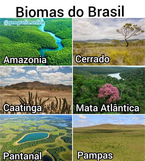 Geógrafo Lucas on Instagram O Brasil é formado por seis biomas de