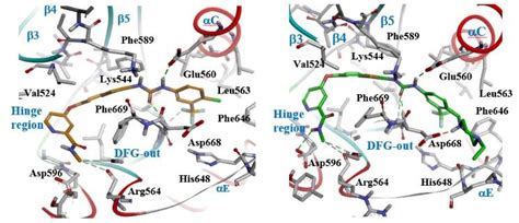 The Predicted Binding Mode Of Compounds A Orange And 6 Green In The Download Scientific