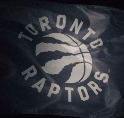 Toronto Raptors Unveil New Logo, Hint at New Color Scheme | Bleacher ...