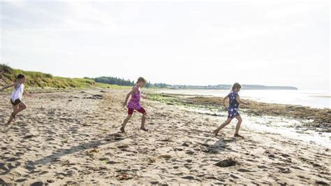 Parc Provincial De La Plage Murray Explorenb Tourisme Nouveau