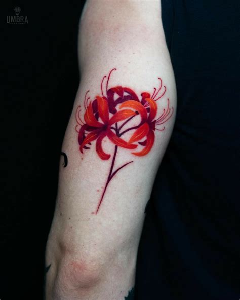 Update More Than Spider Lily Tattoo In Cdgdbentre