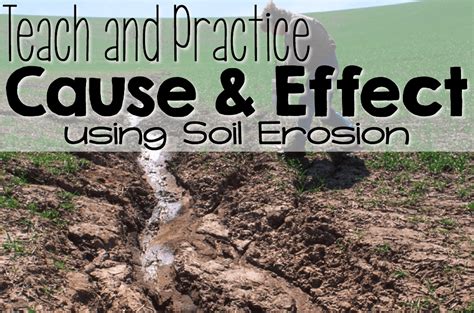 Teach And Practice Cause Effect With Soil Erosion Integrated Eld