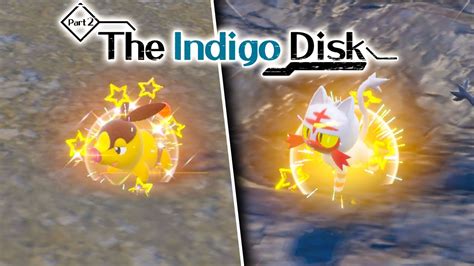 New Indigo Disk Dlc Is Now Live Shiny Starter Pokemon Hunt Need