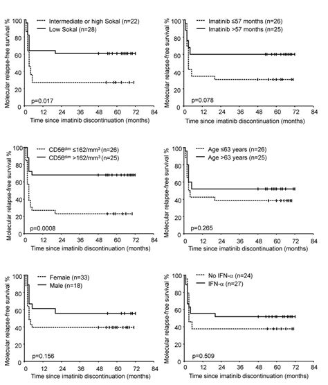 Molecular Relapse Free Survival After Discontinuation Of Imatinib Download Scientific Diagram