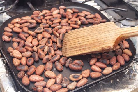 Toasted Cacao Stock Photo Image Of Cacao Super Healthy