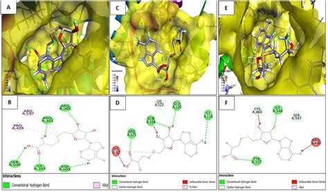 Interaction 3D And 2D Of S Adenosyl L Homocysteine With 3