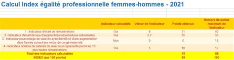 NOTRE INDEX DÉGALITÉ PROFESSIONNELLE 2021 ADES Europe