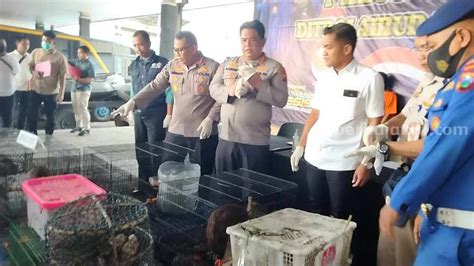 Ditpolairud Polda Jatim Gagalkan Pengiriman Bahan Detonator Bom Ikan