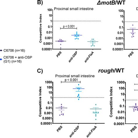 Convalescent Phase Plasma Of Cholera Patients Recognizes V Cholerae