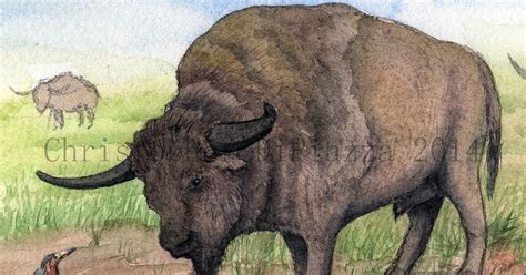 Prehistoric Beast Of The Week Giant Bison Prehistoric Animal Of The Week