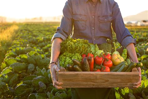 Community Supported Agriculture Honorhealth Desert Mission