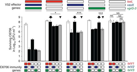 Cognate Pairs Of Effector And Immunity Proteins Act Independently Of