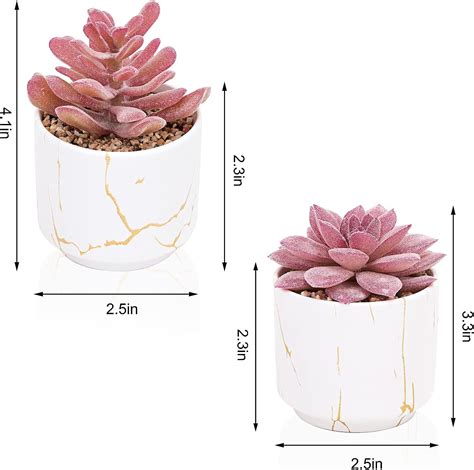 Venta Internacional Plantas Artificiales Suculentas Con Macetas De