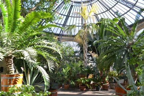 Hortus Botanicus Amsterdam Aktuelle 2020 Lohnt Es Sich Mit Fotos