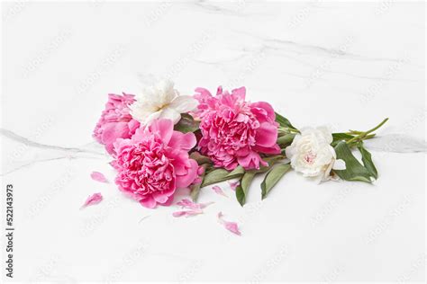 Pink and white peonies laid on marble background. Stock Photo | Adobe Stock