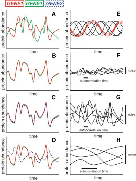 Noise In Gene Expression Origins Consequences And Control Science