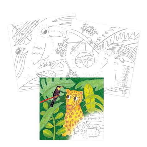 Carnet De Coloriage Graffy Point Jungle Coloriages