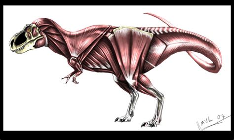 T Rex Reconstruction Color By Highdarktemplar On Deviantart