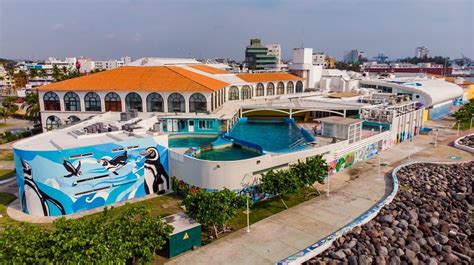 Acuario De Veracruz Datos Y Fotos Para Conocer Este Espacio Sin Salir