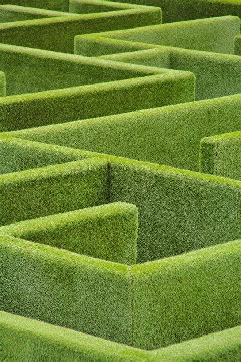 Stop Trying to Find Your Niche. You are the niche. | by ChuckT | Medium