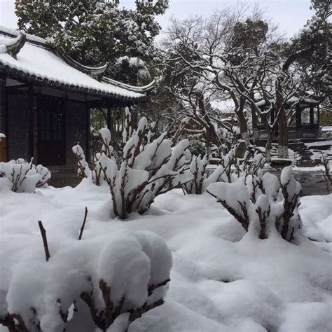 通州实小】《蕊春﹒雪课程》之数学篇——“数雪”时光妙趣多