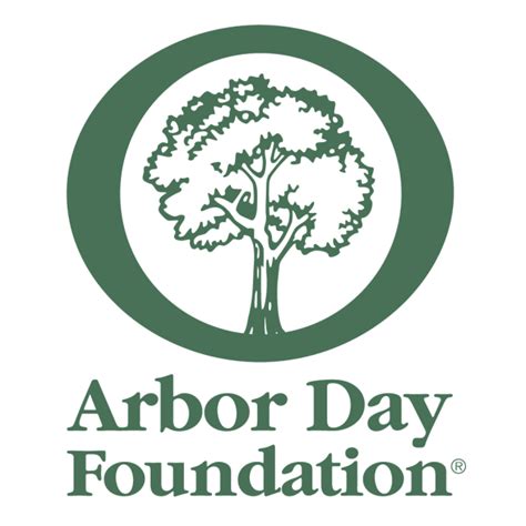 Arbor Day Foundation Reports Rise In Community Tree Plantings In 2022